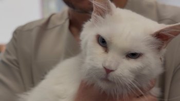 Zbiórka Pilna operacja Śnieżki - miniaturka zdjęcia