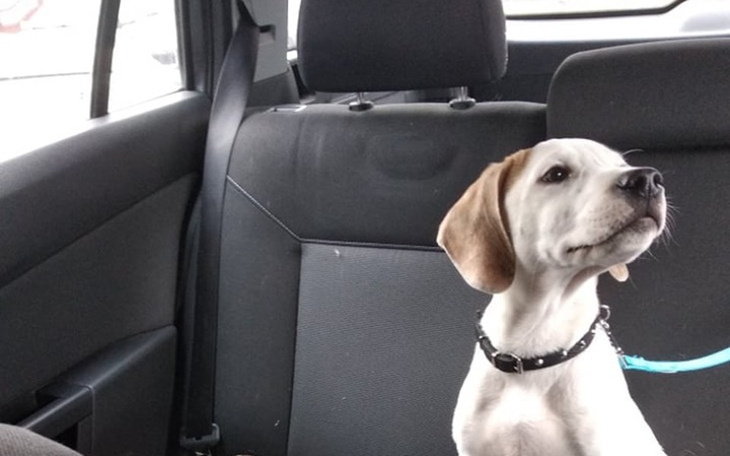 Zbiórka niechciany prezent - zdjęcie główne