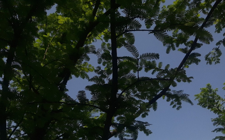 Zbiórka Psychoterapia głębokiej depresji - zdjęcie główne