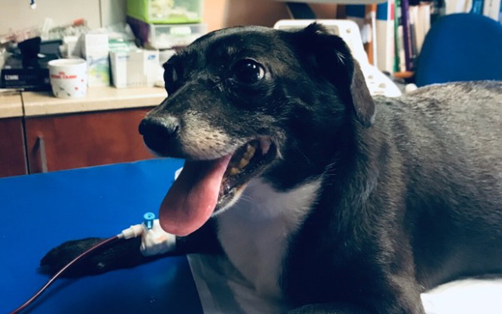 Zbiórka Zbiórka dla Misi - zdjęcie główne