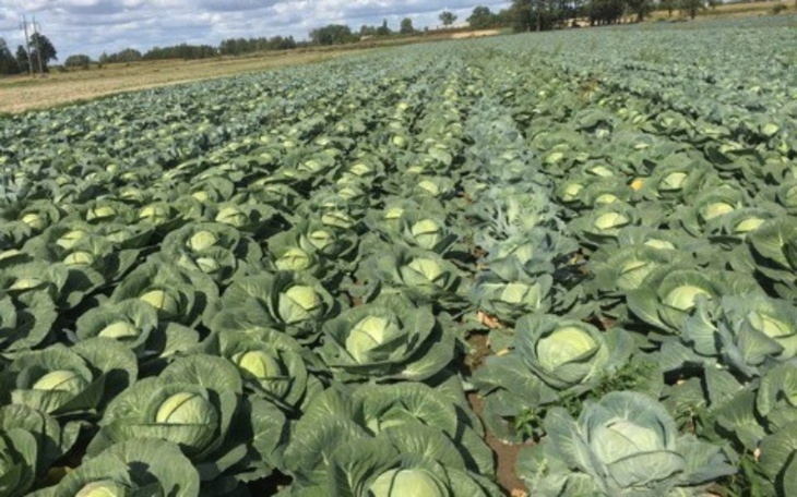 Zbiórka Postawmy Gospodarstwo Na Nogi - zdjęcie główne