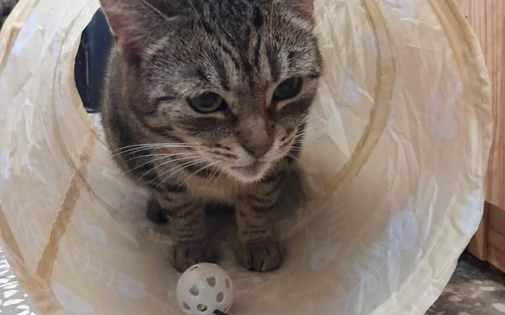 Zbiórka Kupno klimatyzatora - zdjęcie główne