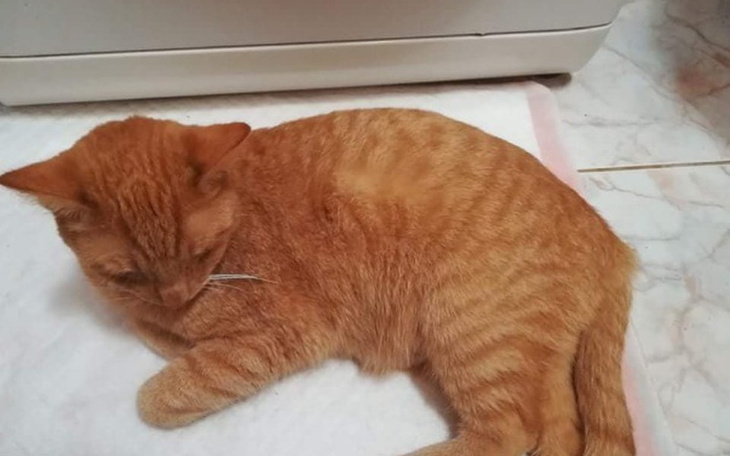 Zbiórka odetkać szczęście - zdjęcie główne