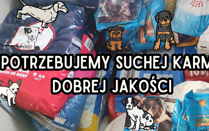 Zbiórka Karma dla schroniskowych piesków - zdjęcie główne