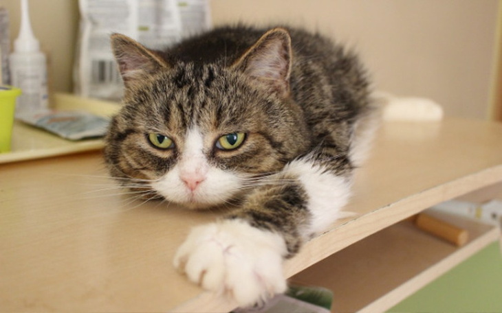 Zbiórka Smutne jest życie staruszka - zdjęcie główne