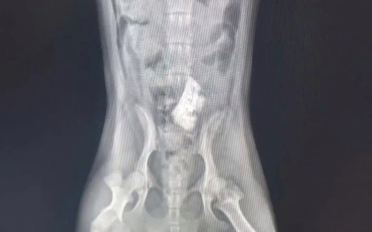 Zbiórka Aby Happy odzyskał radość - zdjęcie główne