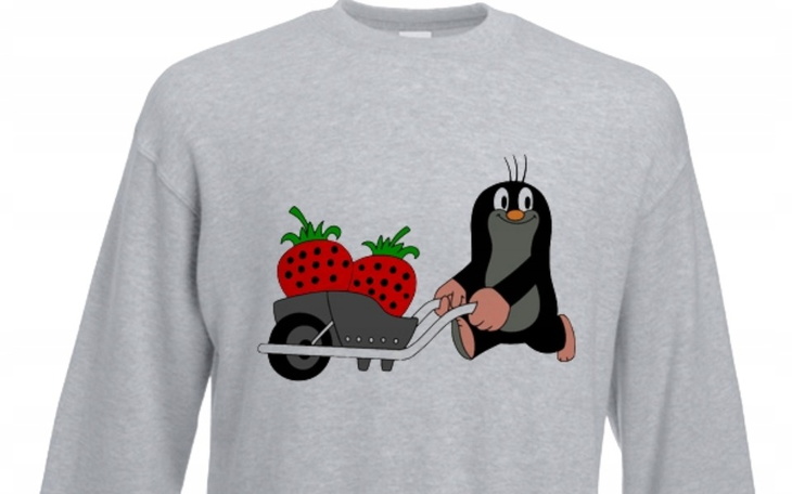 Zbiórka Bluza dla krecika pomagamy - zdjęcie główne