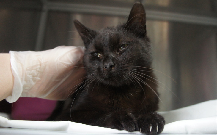 Zbiórka Franka - zdjęcie główne