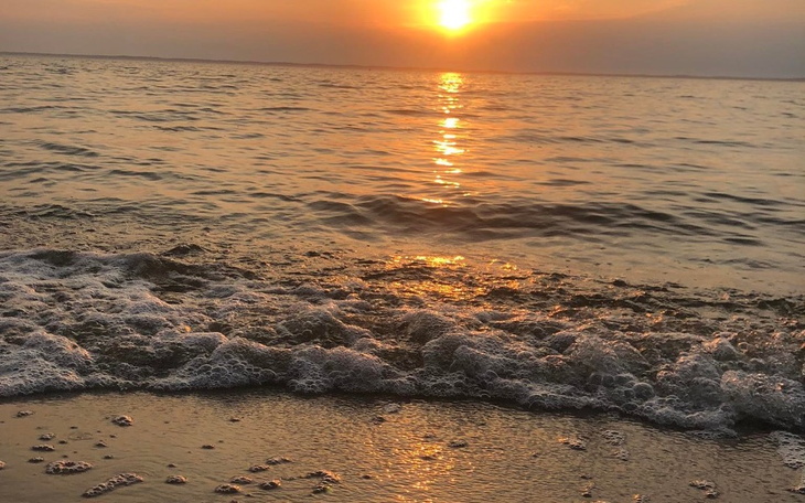 Zbiórka Błagam ludzi o dobrych sercach - zdjęcie główne