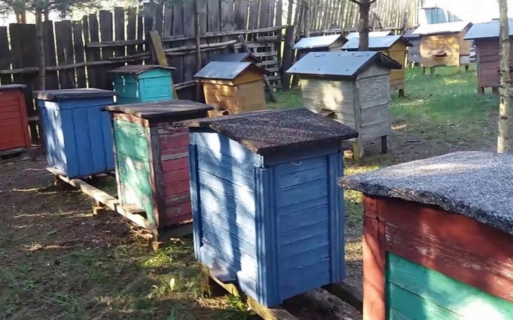 Zbiórka Na odnowienie pasieki dziadka - zdjęcie główne