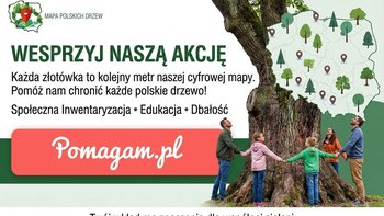 Zbiórka Rozwój aplikacji Polskie Drzewa - miniaturka zdjęcia