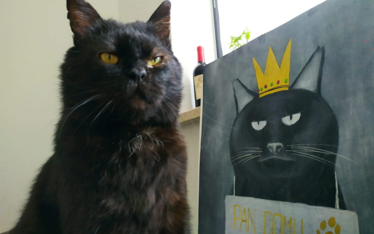 Zbiórka Zabieg usuwania zębów Guliwera - zdjęcie główne