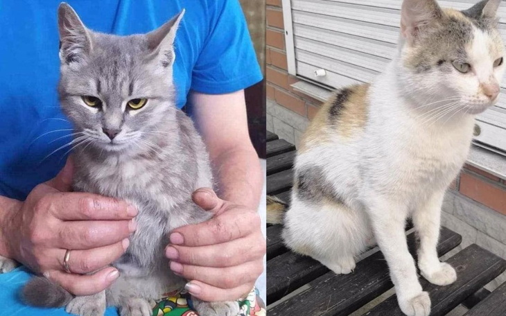 Zbiórka Chce poratować Anną i Kasią - zdjęcie główne