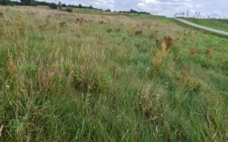 Zbiórka Pomoc na wykupienie części dział - zdjęcie główne