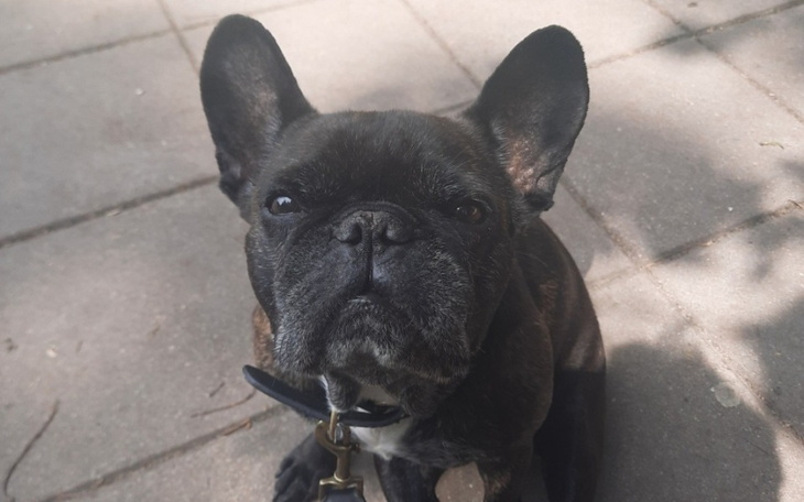 Zbiórka Ratujmy Doris - zdjęcie główne