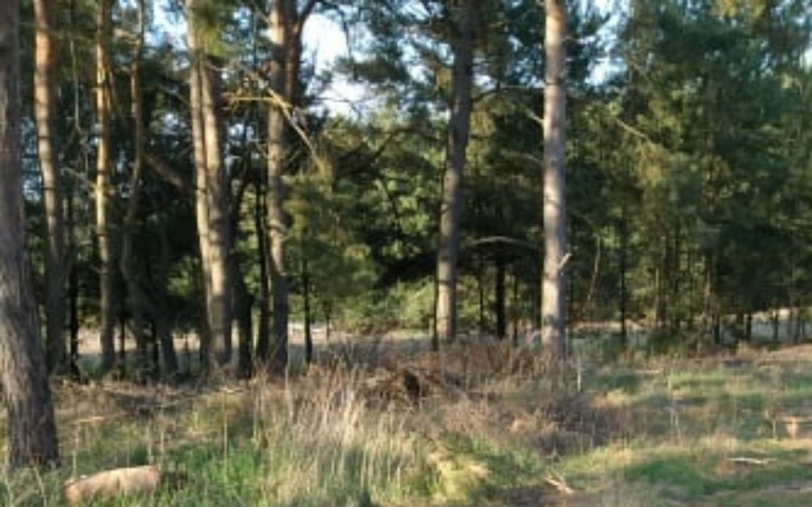 Zbiórka Spłata Długów i pożyczek - zdjęcie główne