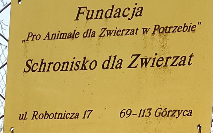 Zbiórka Pomoc dla schroniska w Ługach Gó - zdjęcie główne