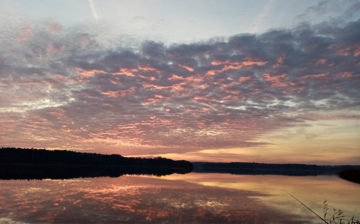 Zbiórka Na prawnika i parking Policyjny - zdjęcie główne