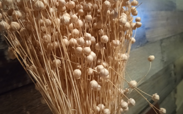 Zbiórka Wynalazek NaRzecznikaPatentowego - zdjęcie główne