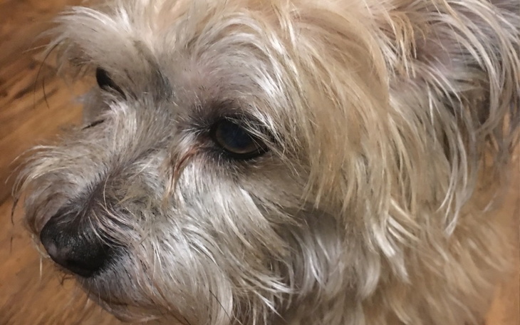 Zbiórka Zbiórka dla Elzy - zdjęcie główne