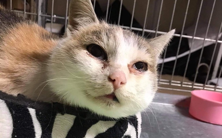 Zbiórka Uratujemy ale tylko razem... - zdjęcie główne