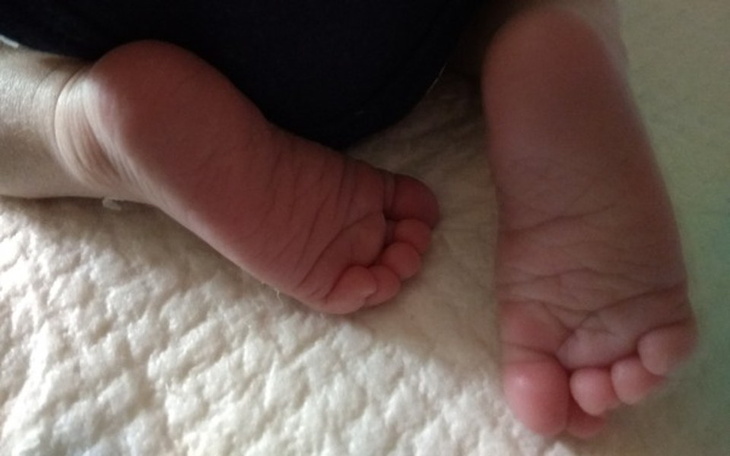 Zbiórka Mały przytulny domek na wsi - zdjęcie główne