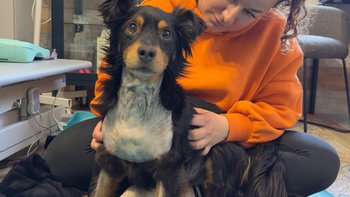 Zbiórka Walka Macchiato o sprawność! - miniaturka zdjęcia