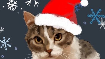 Zbiórka Zbiórka świąteczna - grudzień - miniaturka zdjęcia