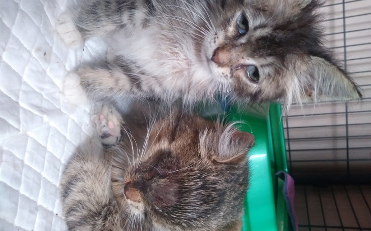 Zbiórka Okruchy nieszczęścia - zdjęcie główne