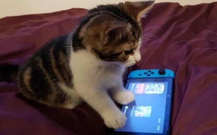 Zbiórka Marzenia pieniądze na nie - zdjęcie główne