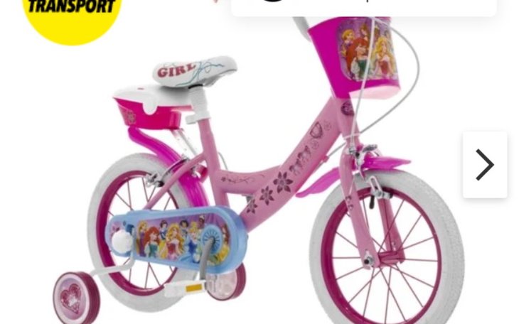 Zbiórka rower z trzema kółkami - zdjęcie główne