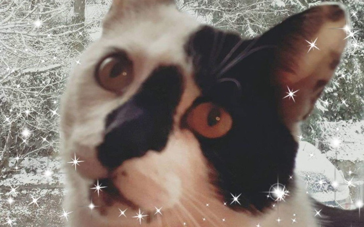 Zbiórka PEPE nie dajmy mu zgasnąć - zdjęcie główne