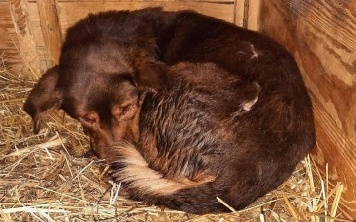 Zbiórka Mamy dzień, by spłacić dług - zdjęcie główne