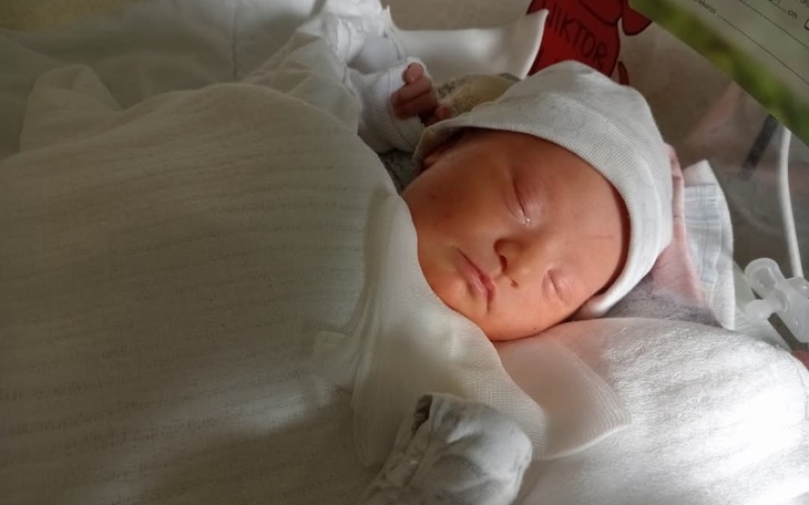 Zbiórka Wiktor- mały wojownik z ZD - zdjęcie główne