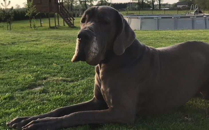 Zbiórka Choruje na nowotwór kości - zdjęcie główne