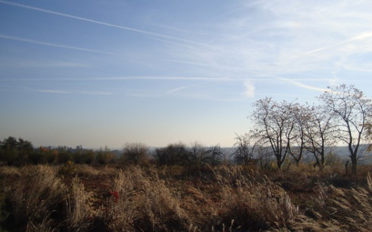 Zbiórka Sadzimy drzewa !!! - zdjęcie główne