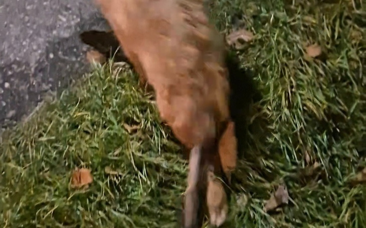 Zbiórka Zdążyć przed śmiercią malenstwa - zdjęcie główne