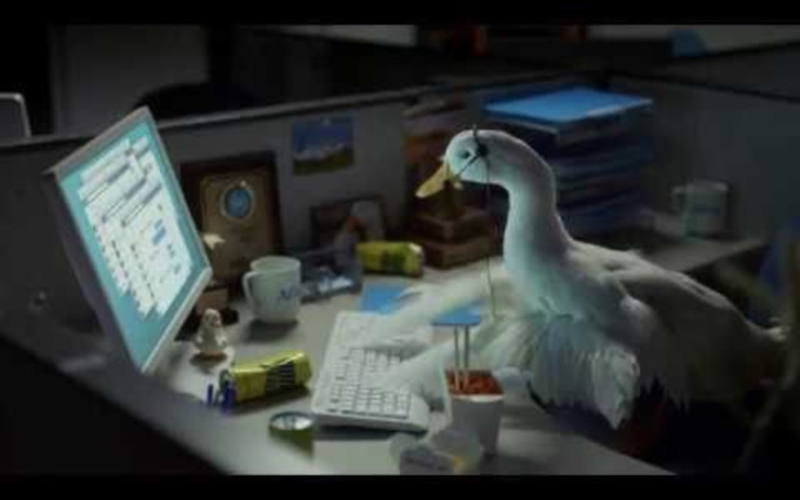 Zbiórka Galonza zbiera - zdjęcie główne