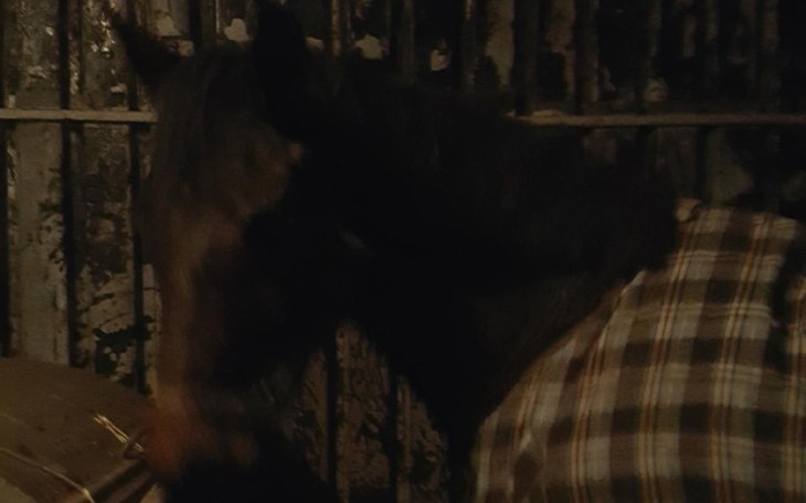 Zbiórka Na wlasnego konia i na jazde kon - zdjęcie główne