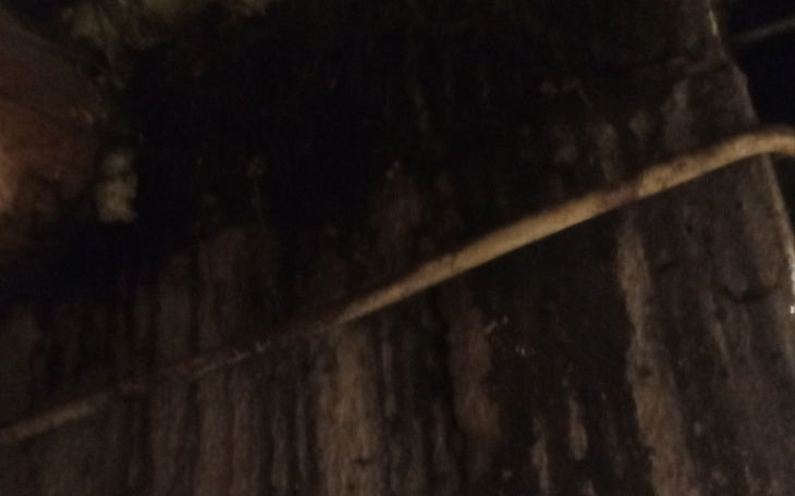 Widok na starą, zniszczoną powierzchnię z wystającym kijem.