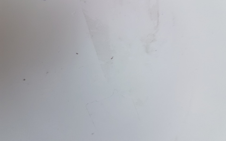 Zbiórka Na mojego pieska - zdjęcie główne