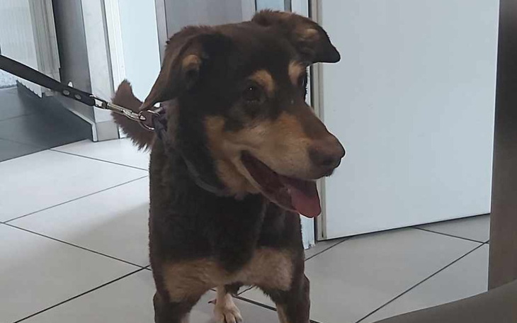 Zbiórka Kiermasz dla podopiecznych 2 - zdjęcie główne