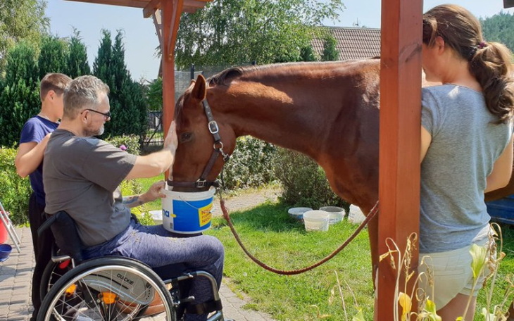 Zbiórka Pomoc w rehabilitacji, leczeniu - zdjęcie główne