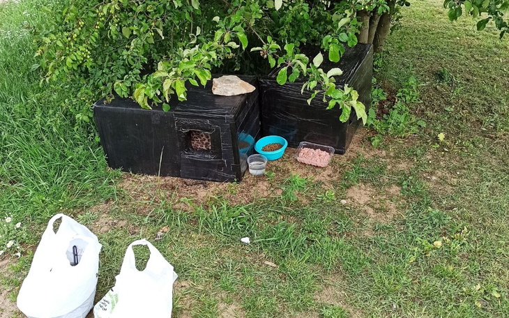 Zbiórka Gdy głód zagląda w oczy... - zdjęcie główne