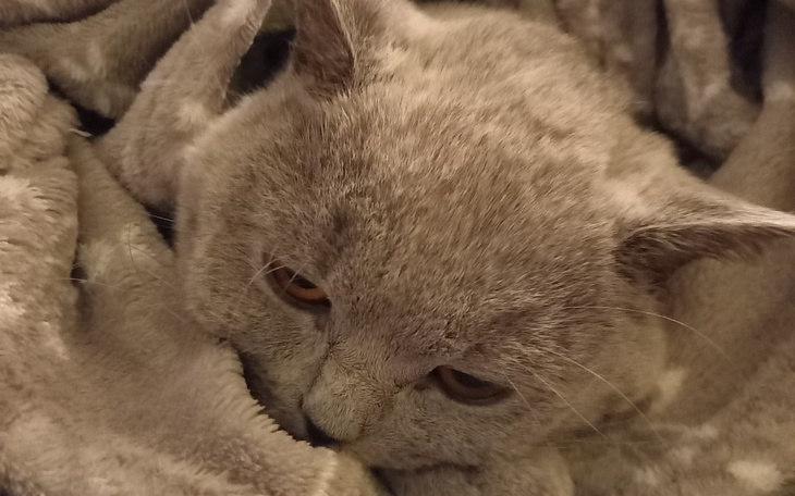 Zbiórka Bacardi walczy o życie - zdjęcie główne