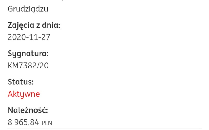 Zbiórka Chce się uwolnić od komornika - zdjęcie główne