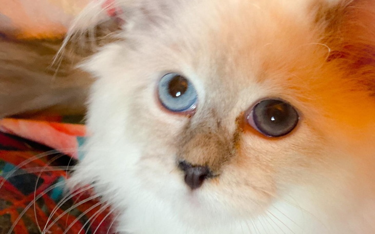 Zbiórka Dostałam dzień na przeżycie - zdjęcie główne