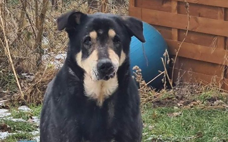 Zbiórka Dla tych zapomnianych ... - zdjęcie główne