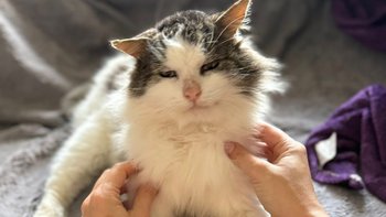 Zbiórka Bazarek KAROL - miniaturka zdjęcia