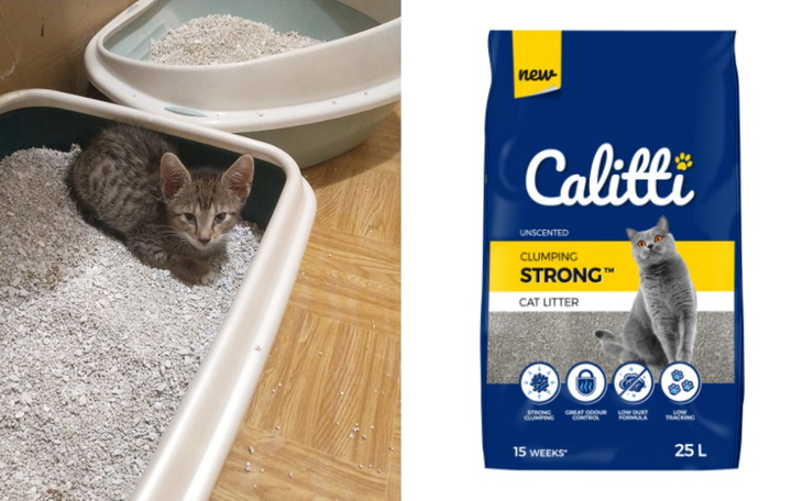 Zbiórka Drobniaka na żwirek dla kociaka - zdjęcie główne